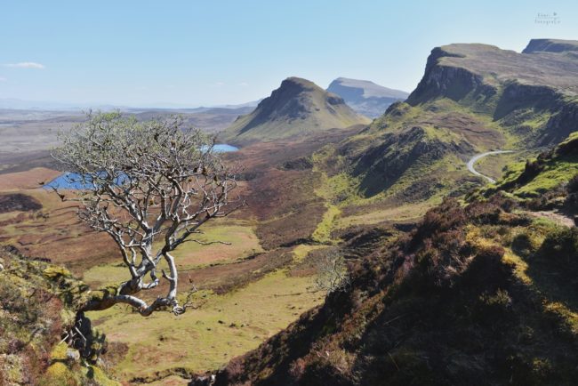 The Quiraing – Das Ergebnis :-)