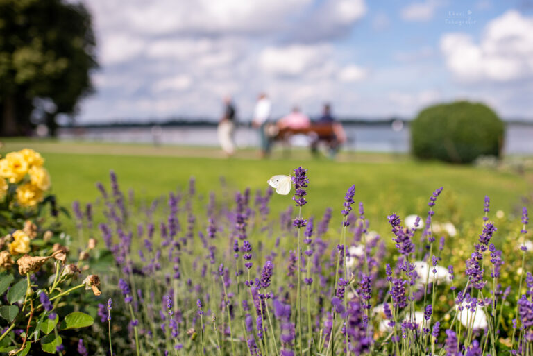 Zwischenahner Meer Bad Zwischenahn
