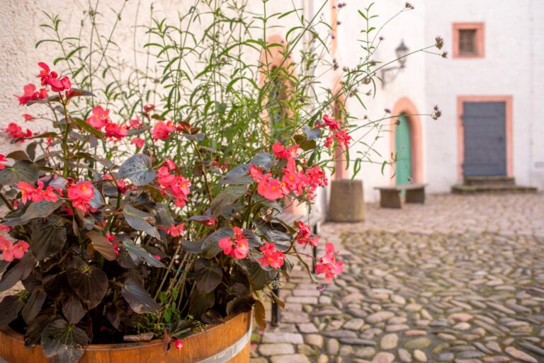 Hochzeit Burg Scharfenstein Hof