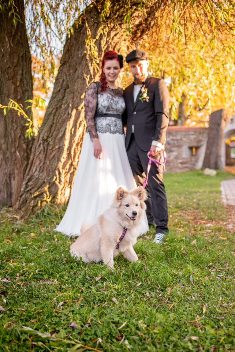 Hochzeit Hotel Saigerhütte Olbernhau Fotoshooting Brautpaar Hund