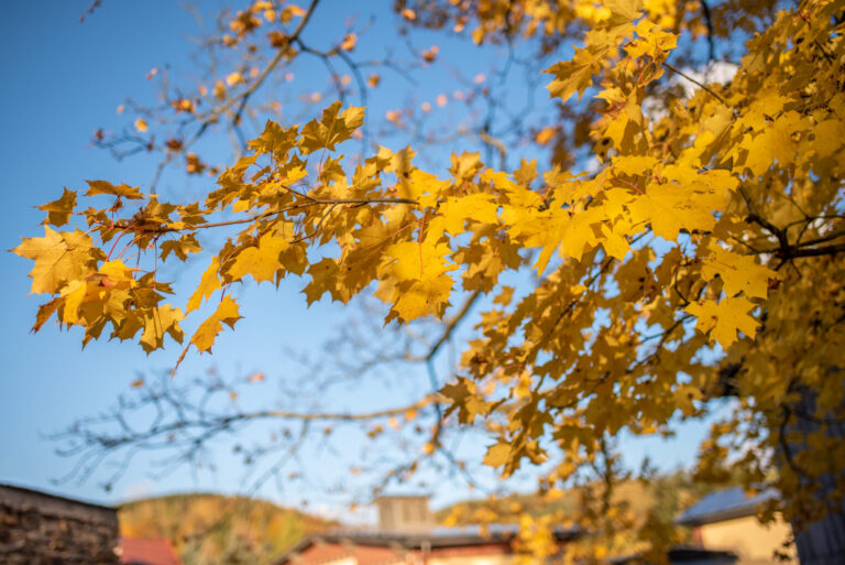 Hochzeit Hotel Saigerhütte Olbernhau