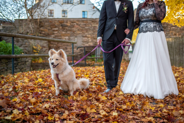 Hochzeit Hotel Saigerhütte Olbernhau Fotoshooting Brautpaar Hund