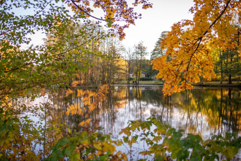 Hochzeit Hotel Saigerhütte Olbernhau