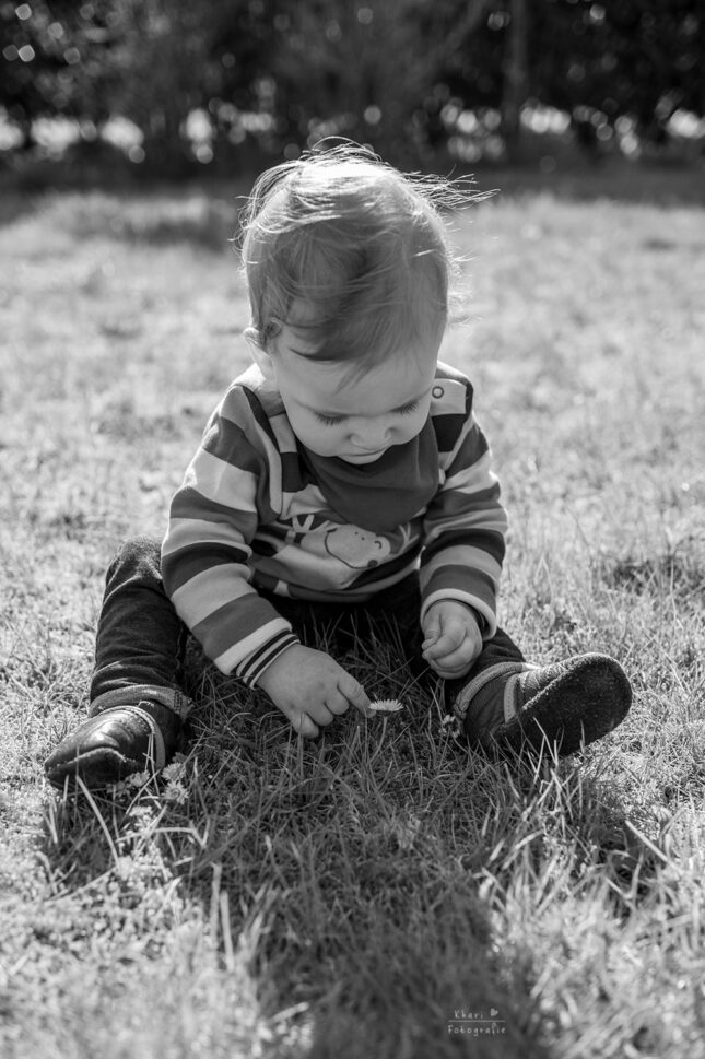 Familienshooting Nethen Gänseblümchen Kind