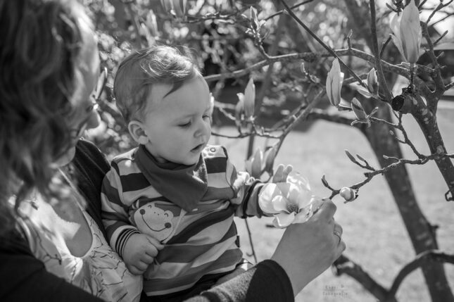 Familienshooting Nethen Magnolie Kind