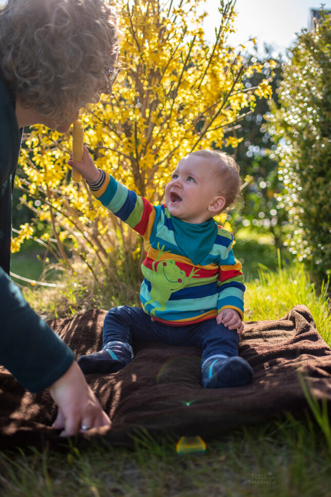 Familienshooting Nethen Forsythie Maisstange Kind