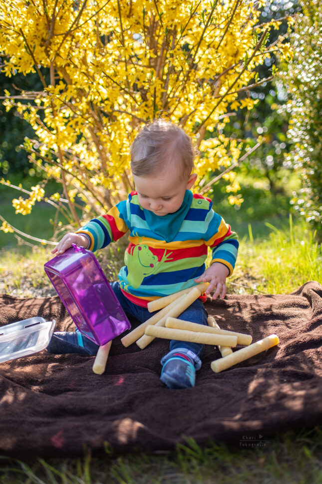 Familienshooting Nethen Forsythie Maisstange Kind