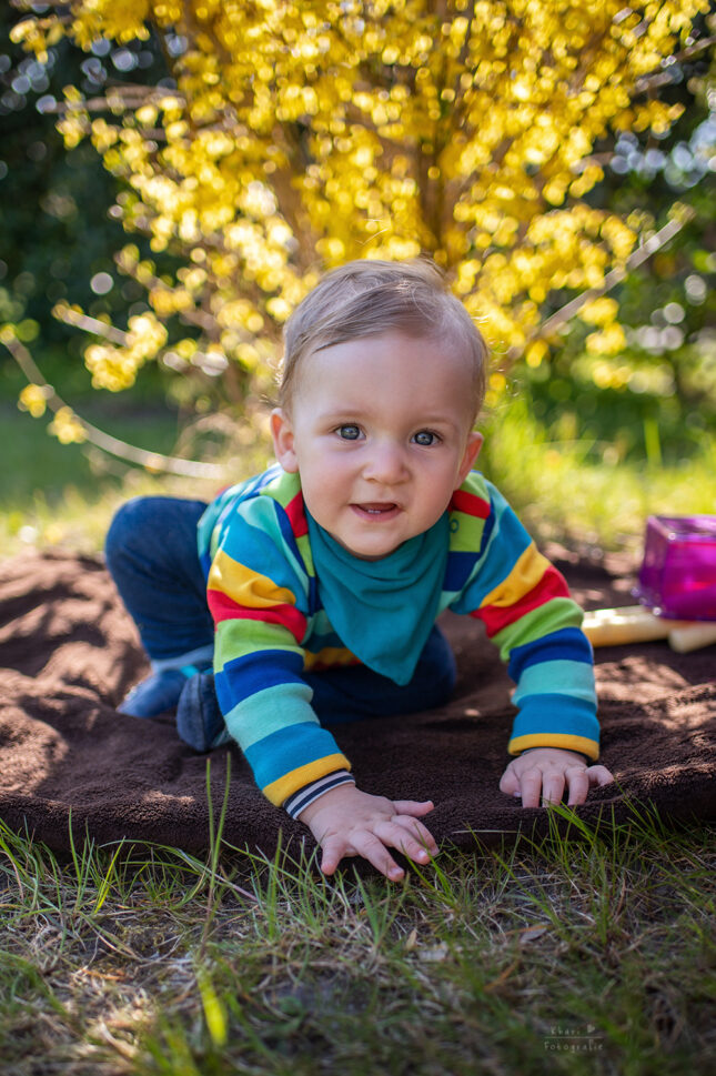 Familienshooting Nethen Portrait Kind Forsythie