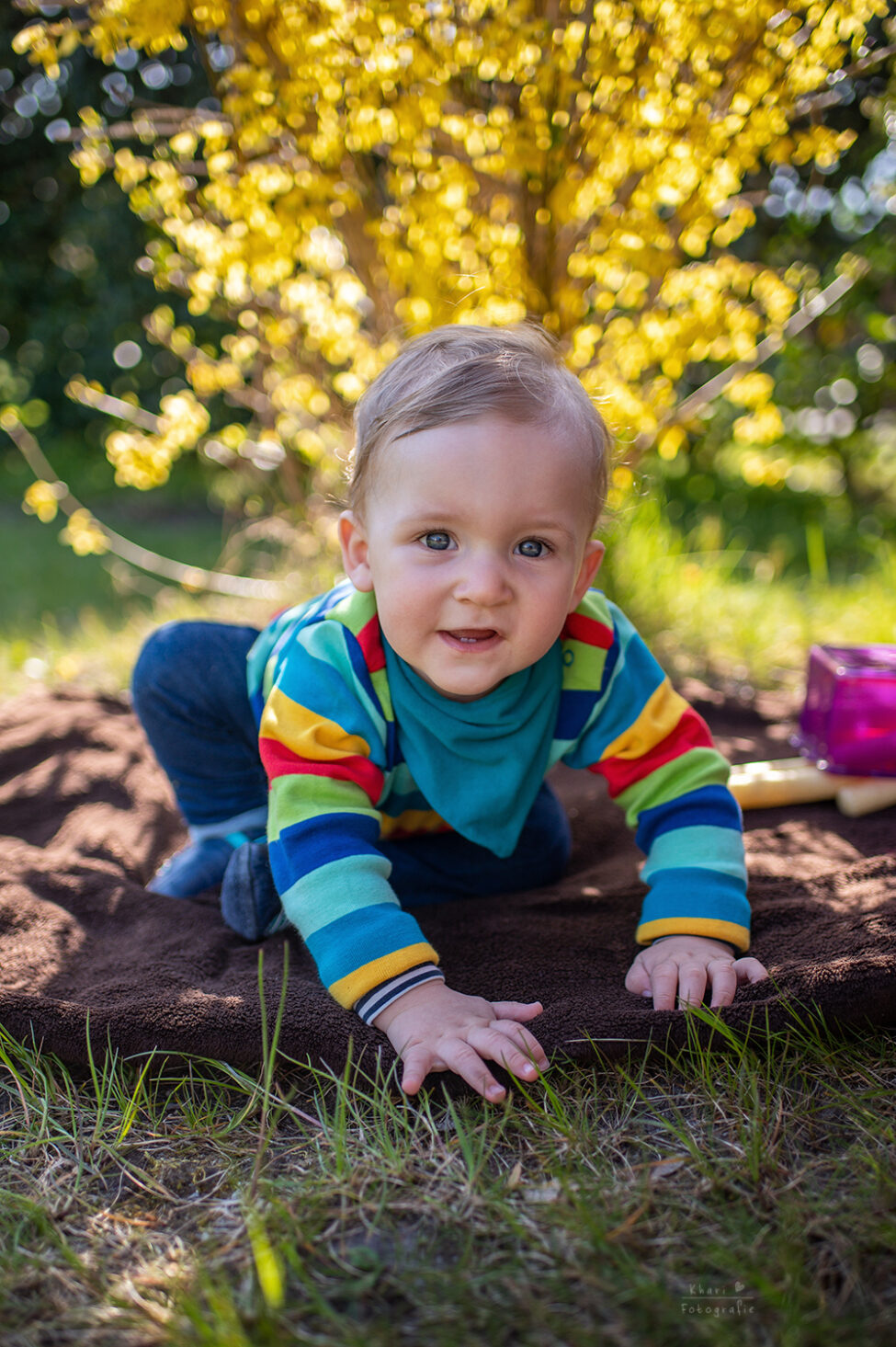 Familienshooting Nethen Portrait Kind Forsythie