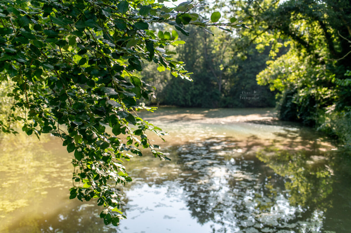 Wassermühle Ostrittrum Hochzeit