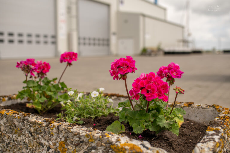 Hochzeit Baltic Sea Resort Kröslin