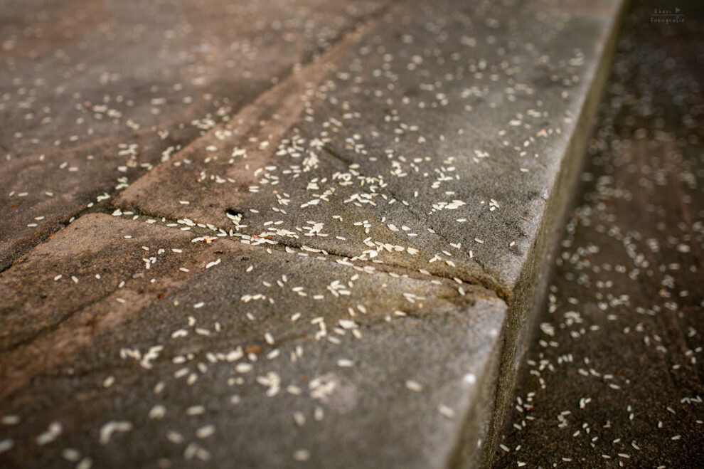 Standesamt Oldenburg Trauung Hochzeit