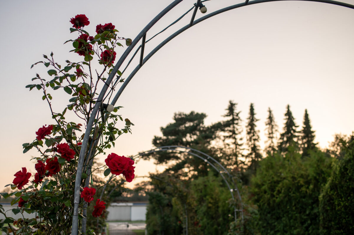 Schloss Köhlmoor Felde Hochzeit