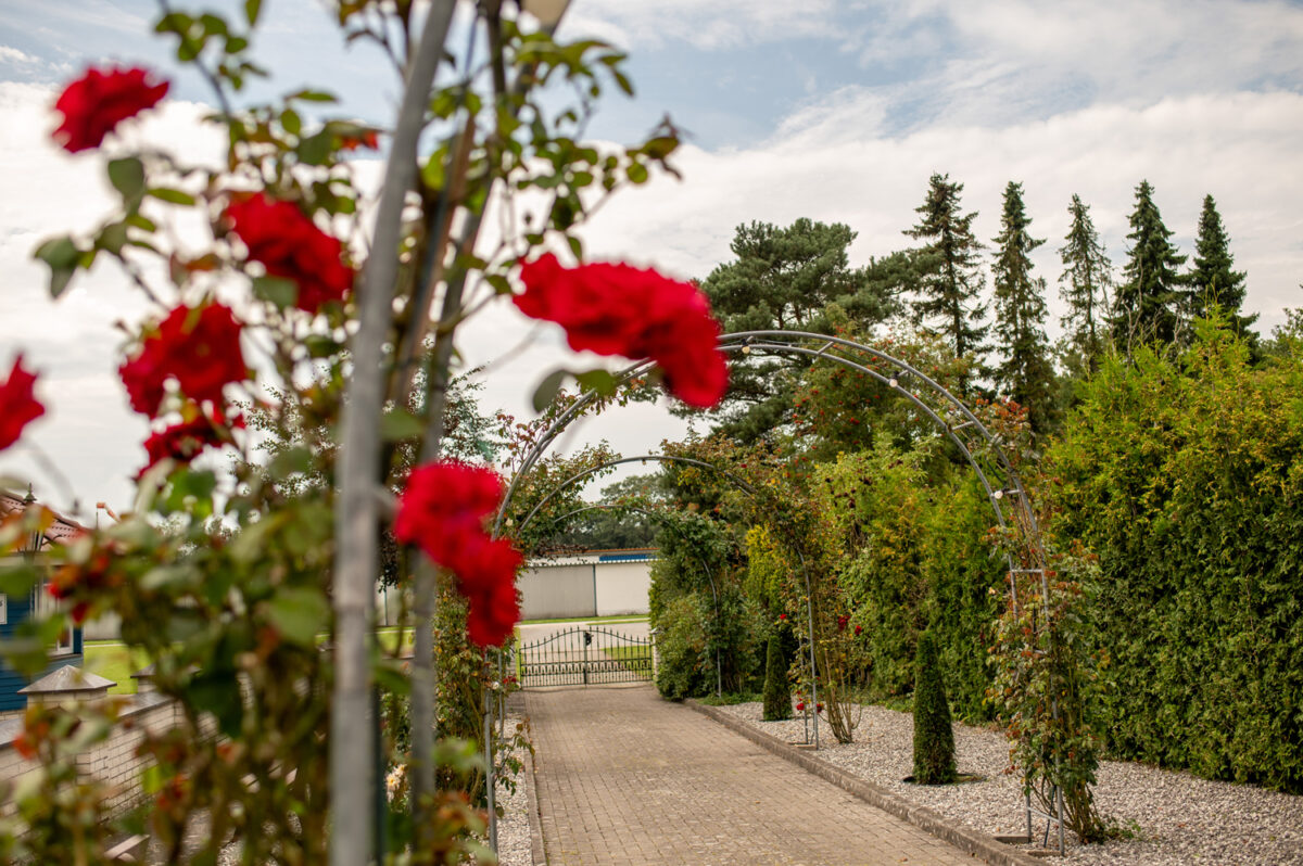 Schloss Köhlmoor Felde